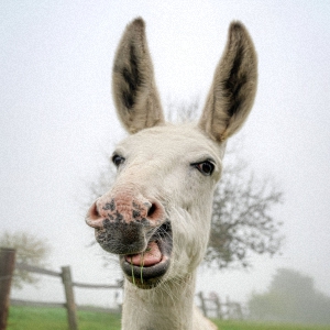 Christina Langen PHYSIOTHERAPIE